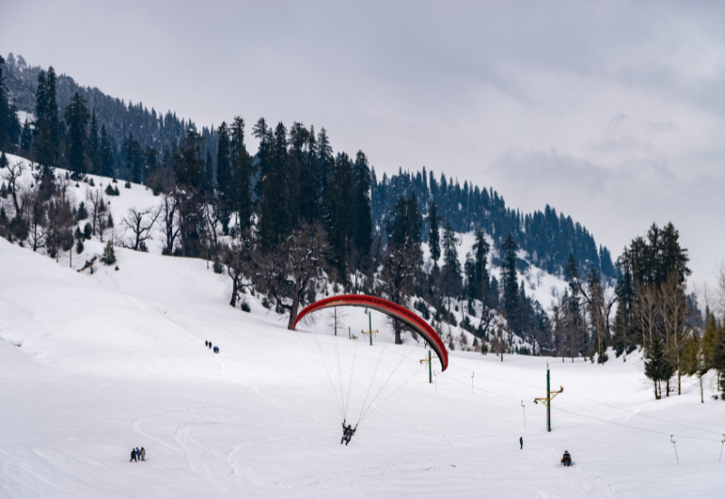 Manali Gold Tour Package